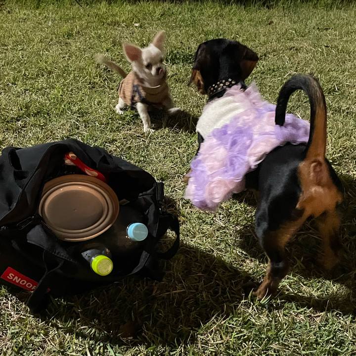 70b759f8 f1f2 4c36 83d7 4f6873aa1462 1663117390225