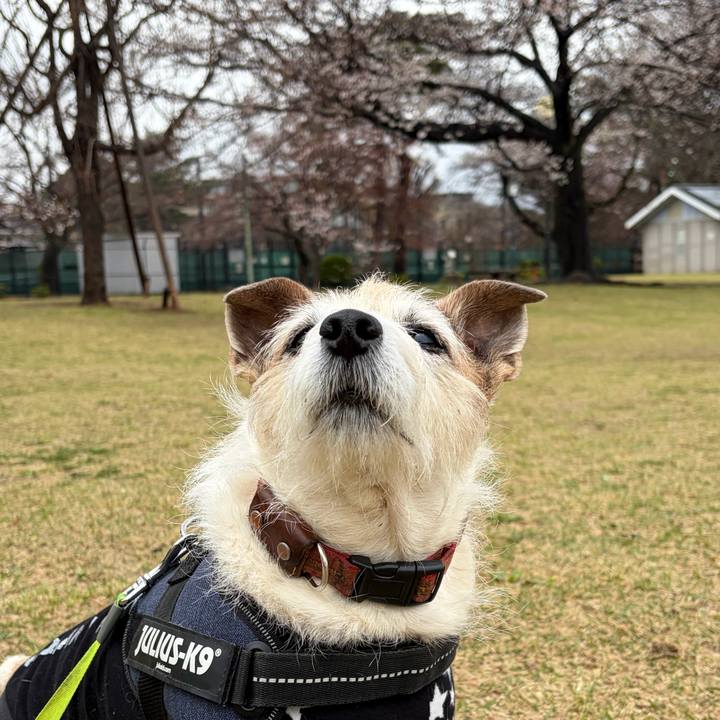 70b75bf2 a1ae 46d3 b2e3 938058e74023 1774507331774