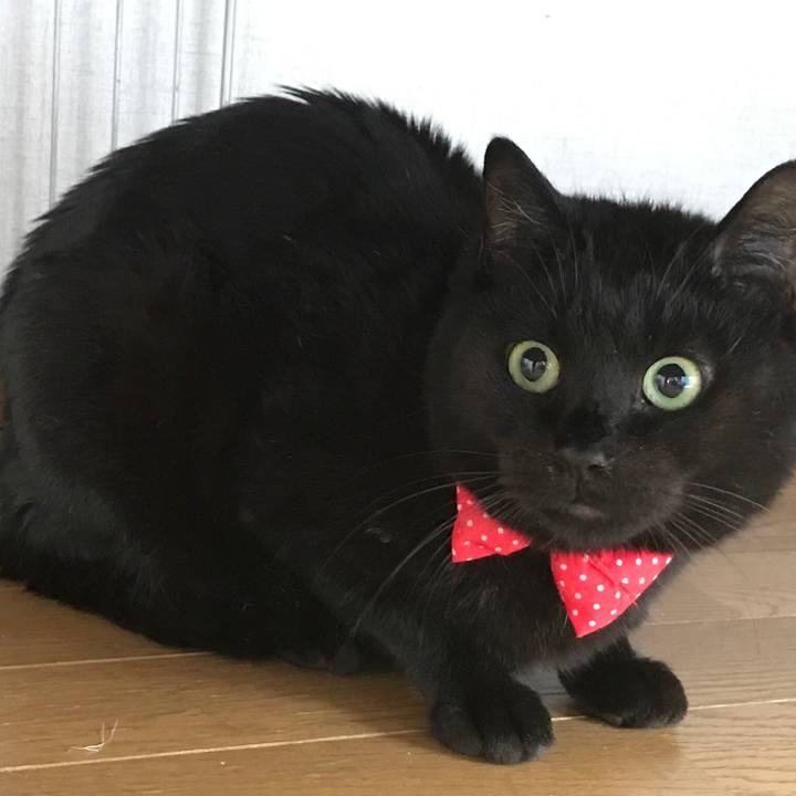 70b76c30 1fc7 4def 9714 2eae08a38187 1561248503527