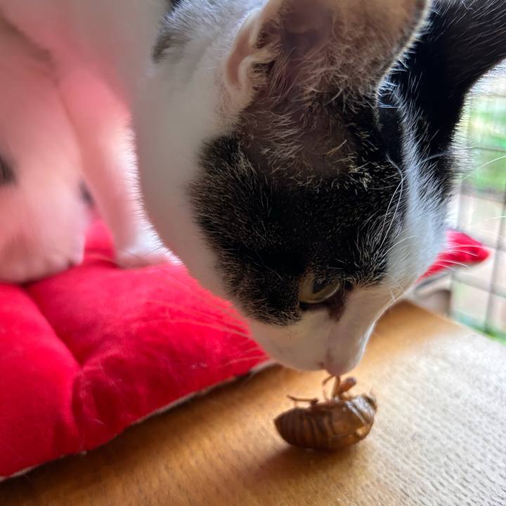 70b775e4 b77f 4d4f 88fc 1e2b4c256276 1752614544784