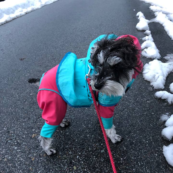 70b78102 3c99 4c08 8451 645b8039e2c5 1517750351961