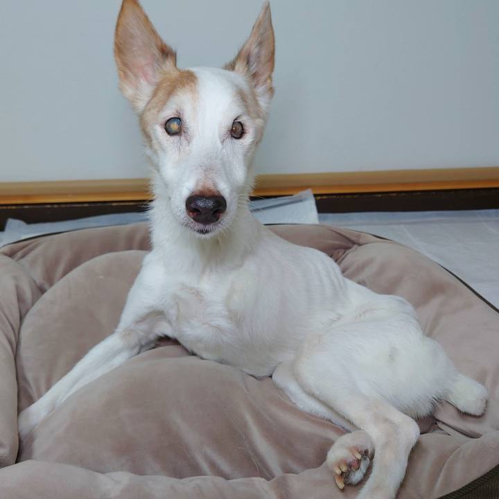 70b7edf8 019a 40e8 a032 49113394ce69 1761995194118