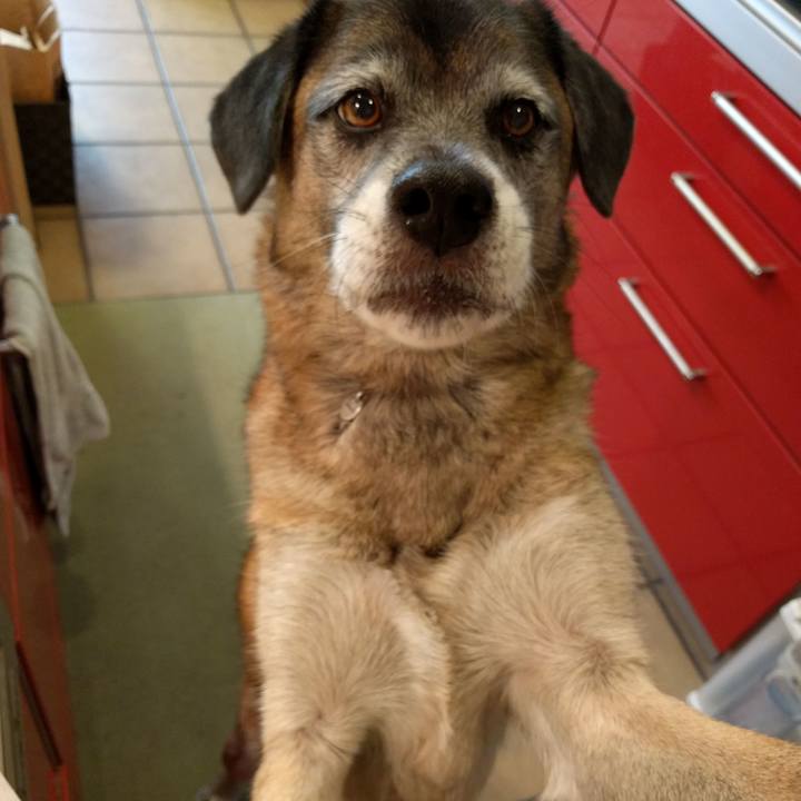 70b81108 dc6f 4f04 b5f4 7bbee0b3c62a 1700529294127