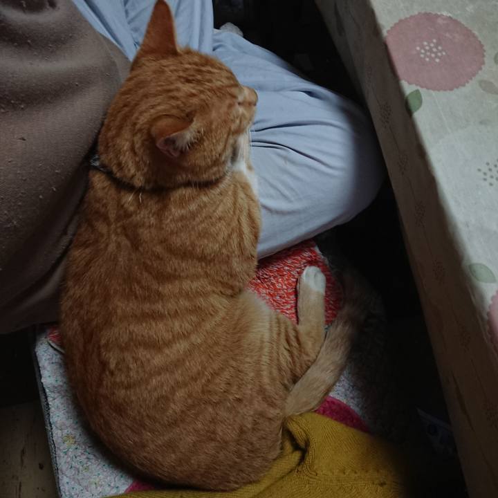 70b8124f 3460 42e8 a682 4b8a47d5ed4f 1572823292873