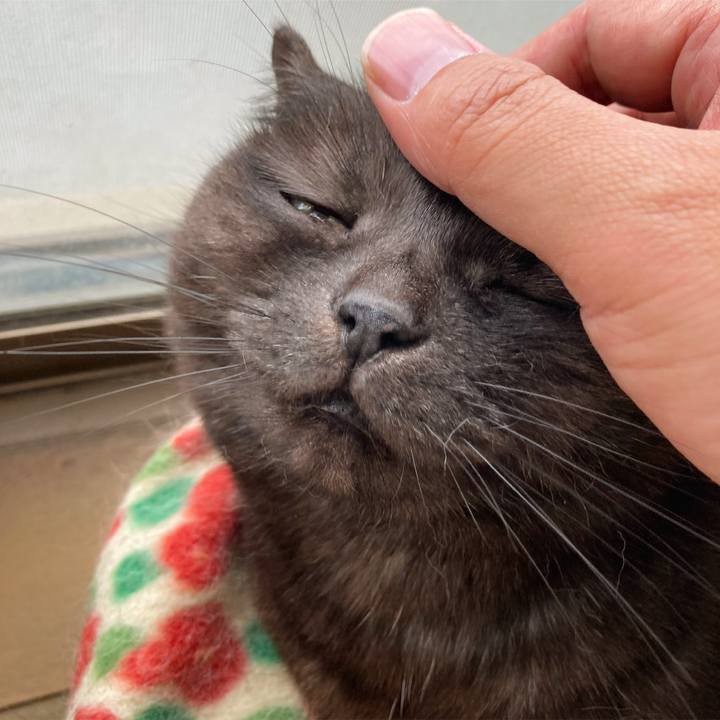 70b81267 407c 4109 803b 82a988032903 1617080290682