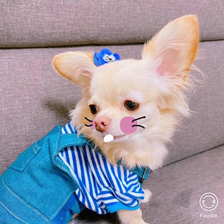 70b81409 7166 4fff adb6 a0365bde3f75 1643092655540