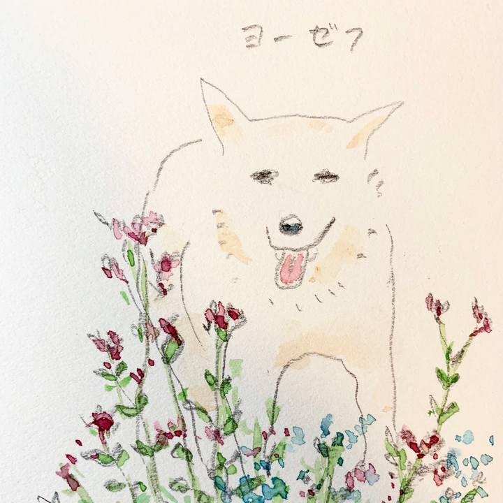 70b81b8c 1a55 41d8 896d 2370aca3cbc9 1581941129587