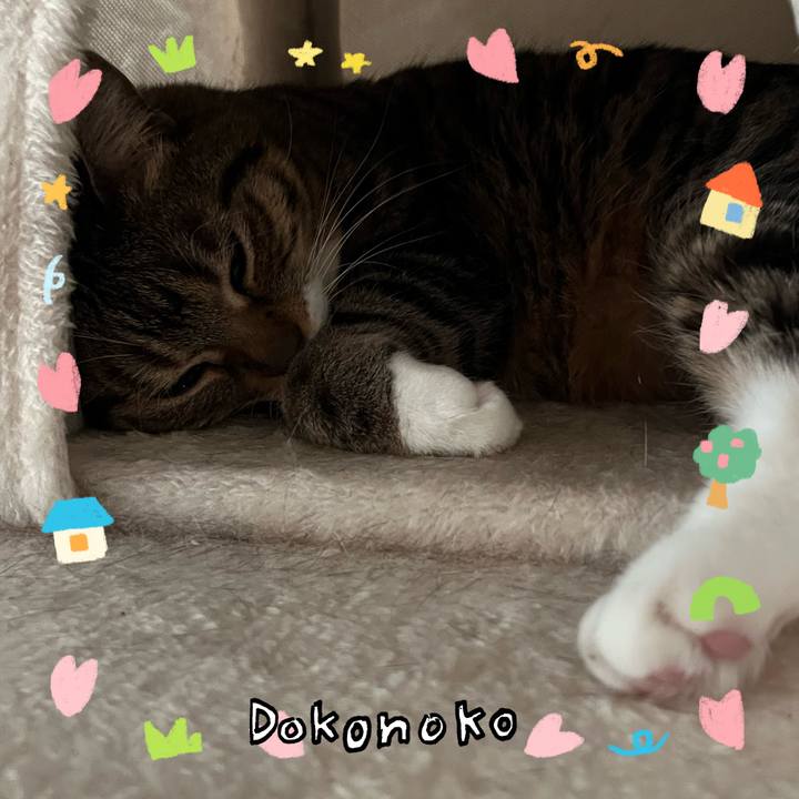 70b85137 30ed 41ff 9072 19c7d454f1c0 1741424637432