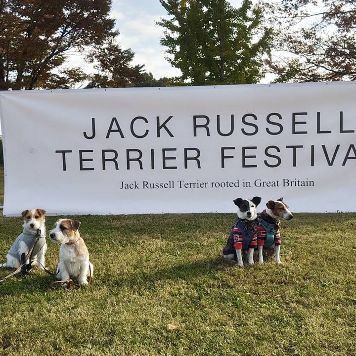 70b85436 dc80 40dd b56d 1258a2a2989a 1763287741960