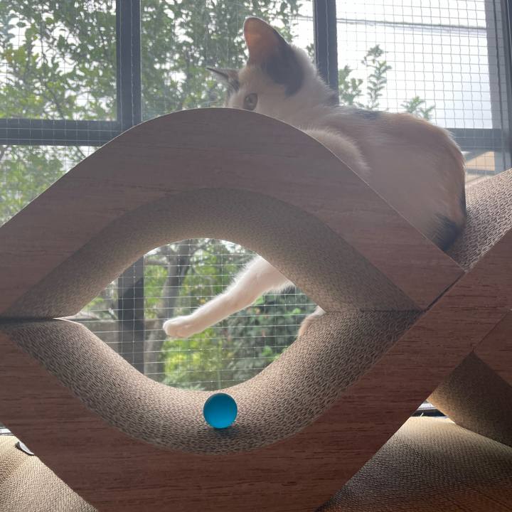 70b86526 2a68 4f94 a4f6 6c03930141f9 1662417301967