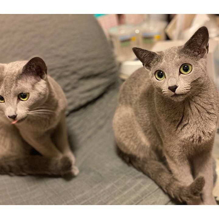 70b8659b 749e 434b aa77 7410f75ab972 1616989484674