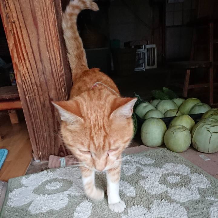 70b899ec 54cd 4d88 89f3 46c465cdd965 1566377098842