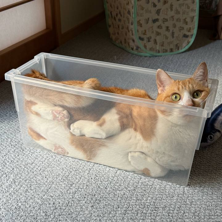 70b8b37c 24f8 40d3 b944 d9e8b437ef80 1760247222854