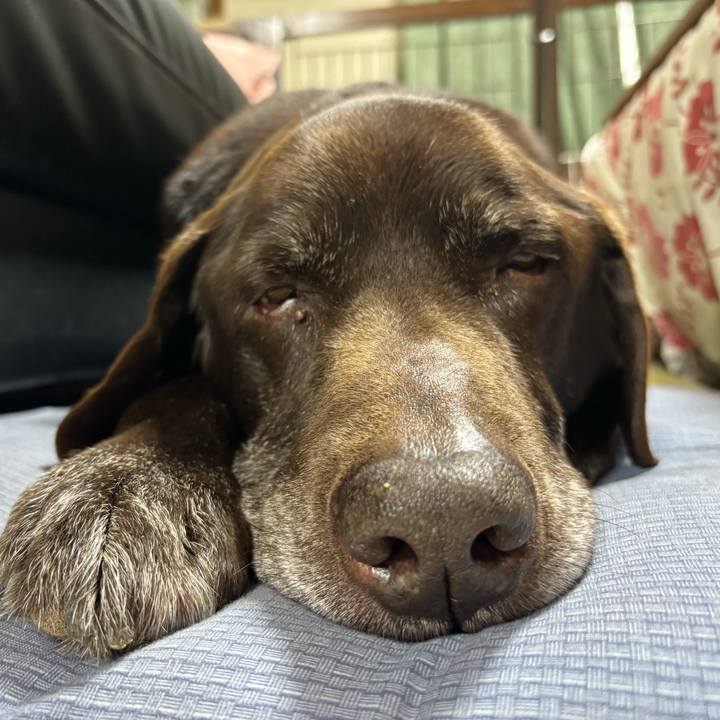 70b901ea 8c9c 4249 a981 34101e1769b4 1774956595420