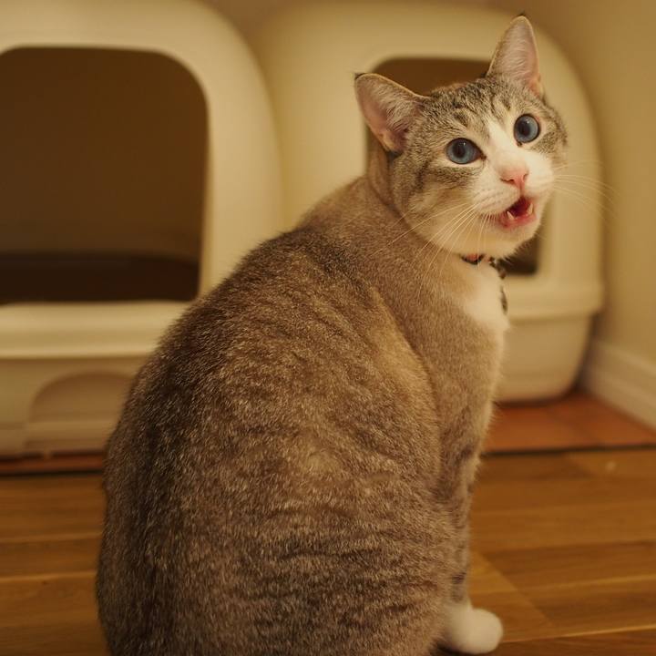 70b94106 db21 43de a166 59c780c6af88 1594817723926