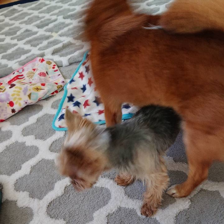 70b97158 cc4c 4562 9e30 60e19d794adf 1556770979136