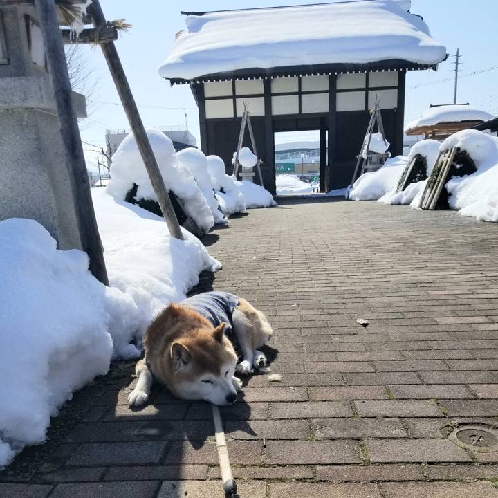 70b98c80 833c 4705 b2f1 8e13a09e9fa2 1675478926505