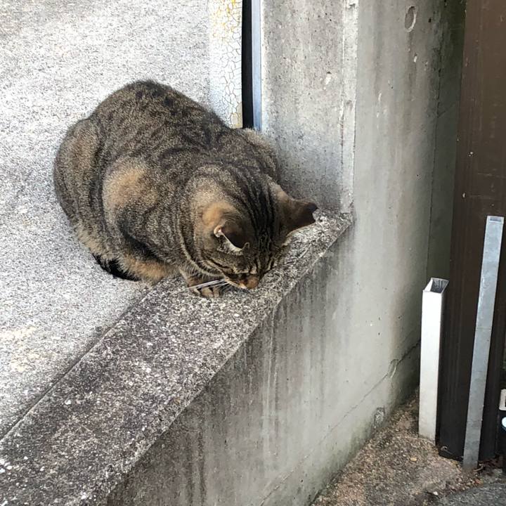 70b9c27d 851b 435e 96ab 41ed0fd0eb7c 1539085694490