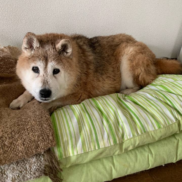 70ba0d59 55e4 4f66 9d5b 8b8830cc5f74 1647138876703