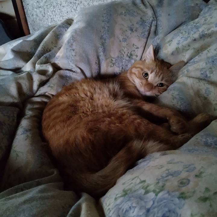 70ba212b bc40 42b1 88e5 39ce9519a3ff 1664940022959