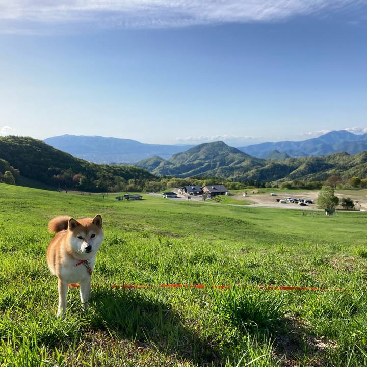 70ba21d1 f044 4611 8fe2 be97bb9b17f1 1651994402637