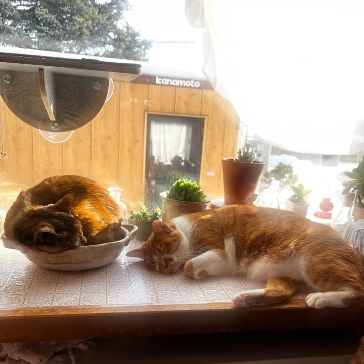 70ba23dd 4266 42f2 82ce db5f2dbe3f7b 1736135006388