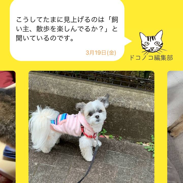 70ba3c0d 8434 4079 939a cf2942e4ffc3 1616286862811