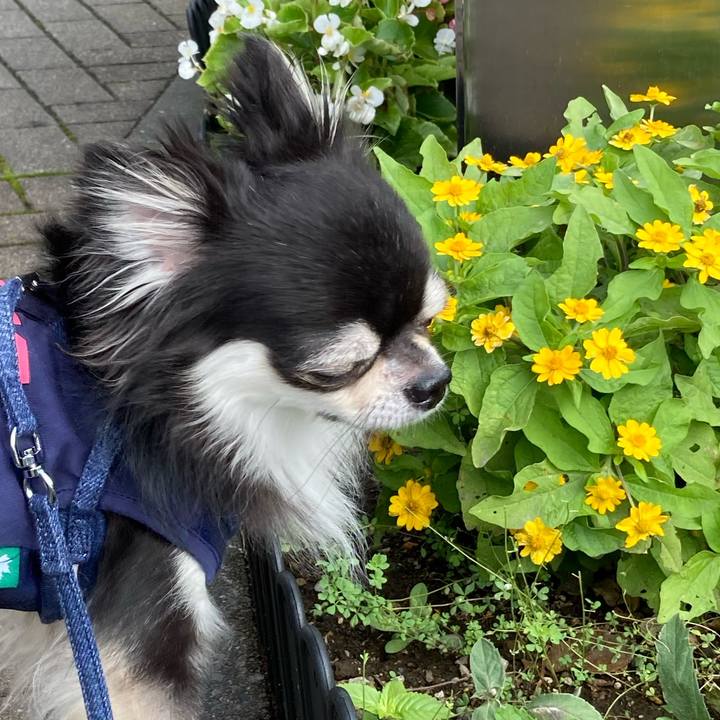 70ba4c20 8849 4926 a4a0 6c16f0ffd756 1665323131514