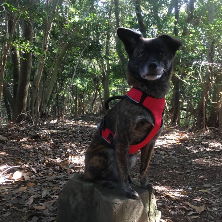 70ba5029 5065 4c1d 9e97 ad72bd88e00a 1513089320074