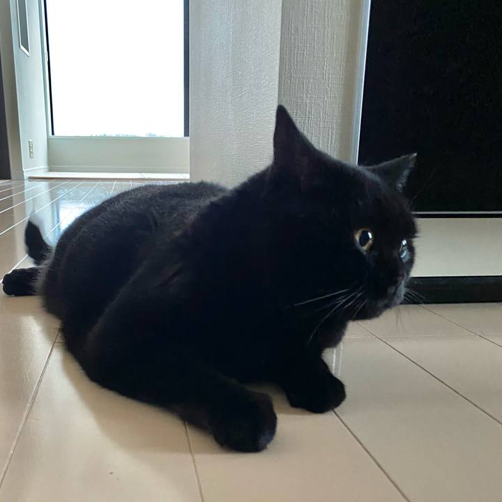 70ba9f51 9b5b 492d bc31 fd472595d0d3 1687772835961