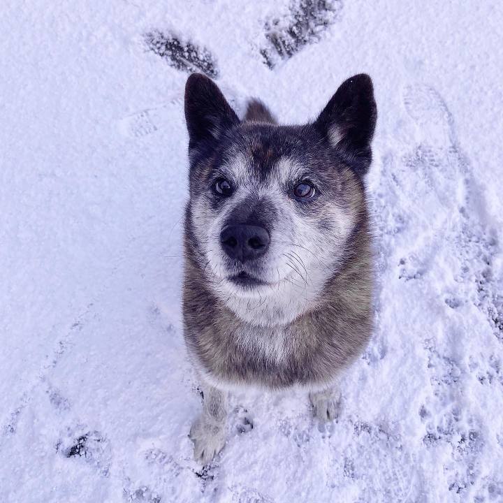 70baa323 5608 47e6 b8ee 995c1749a399 1706137969630