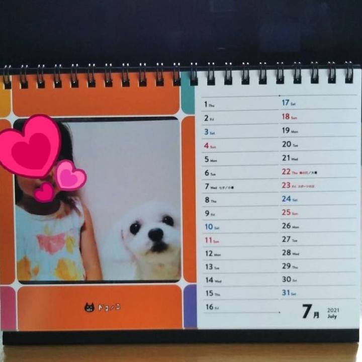 70bab5a4 5e45 433c 8ebf bdc600dd089c 1625187718649