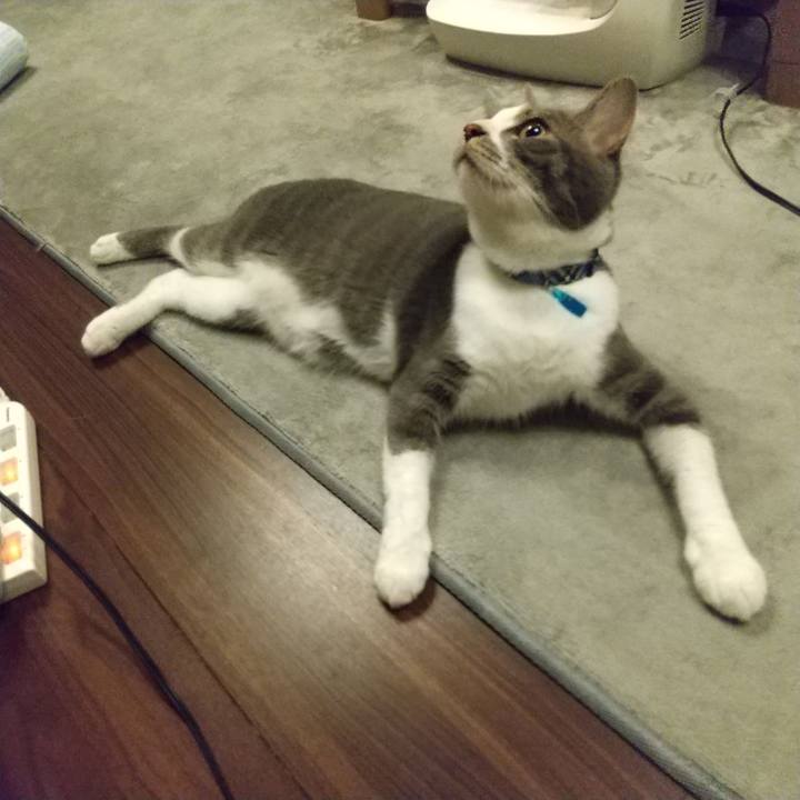 70bacd8f 44ea 465a a9d5 6c8e4ae7cd7e 1598626983159