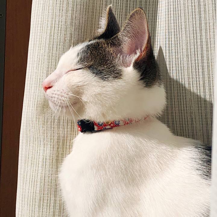 70bae75a befb 423d 9dec d9880d64aa1b 1578194955314