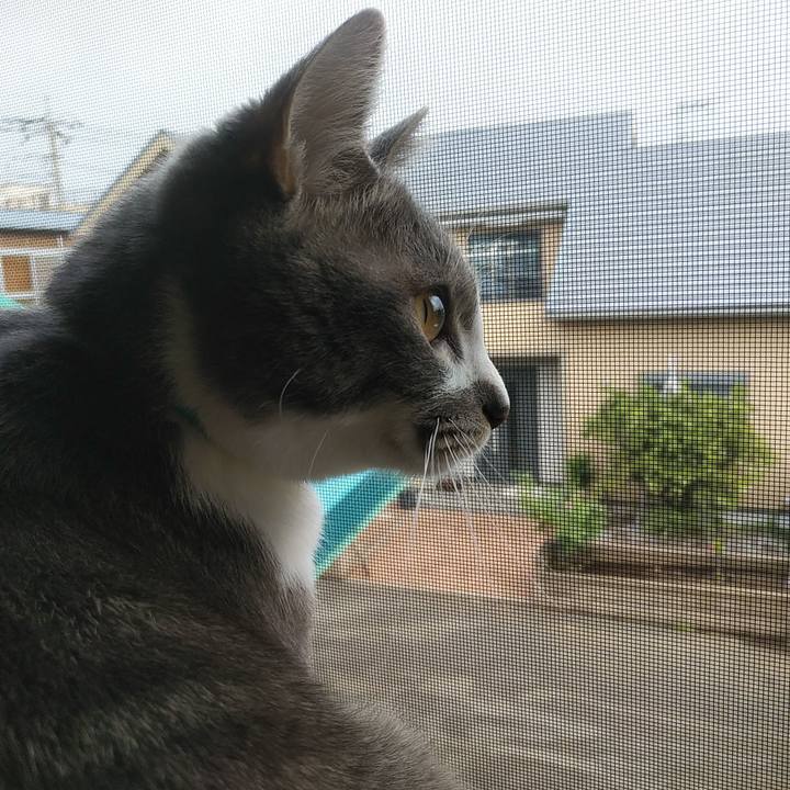 70baf443 b340 4532 a203 cd263515f3b5 1587510113690