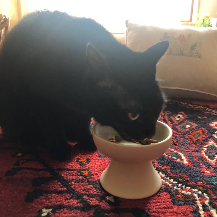 70bb047d 7eaf 4965 9fcd 7e5233bc9245 1587340639632