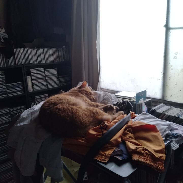 70bb062f a077 4735 8791 341a05c86316 1719267123284