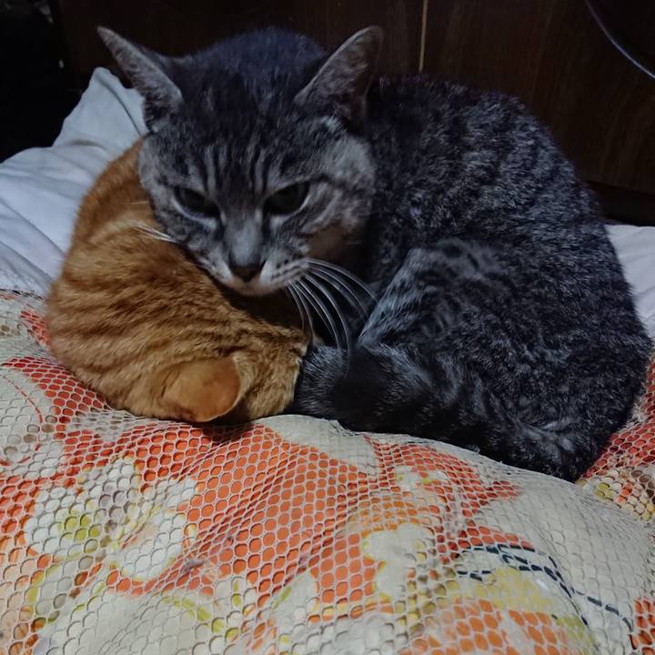 70bb13b3 2c82 4bb3 91ec 01ff7a90d17b 1580990898147