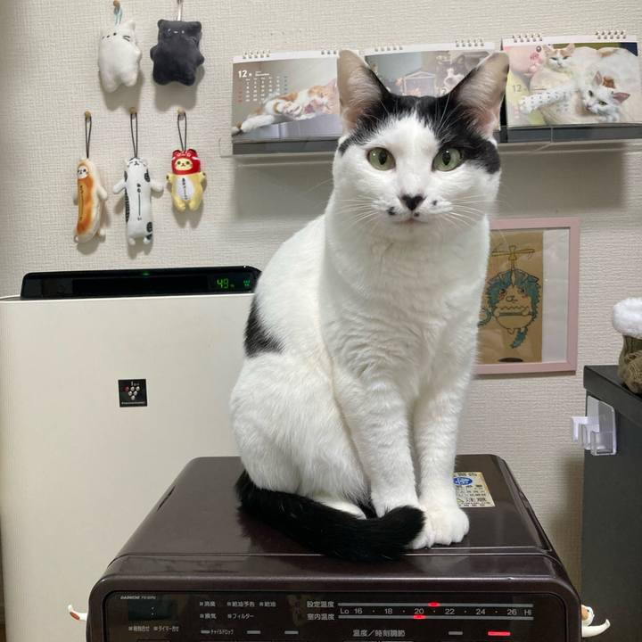 70bb1ec7 97b0 49b9 8d2c 914b789be38a 1765923109859