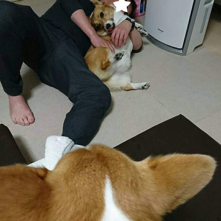 70bb34cf 8235 4eb6 87d6 63ffea17a0cb 1543497571128