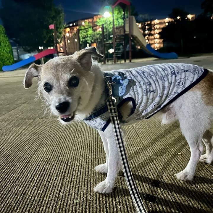 70bb6664 2d13 4f4e 90f6 a325520e7875 1726830004444