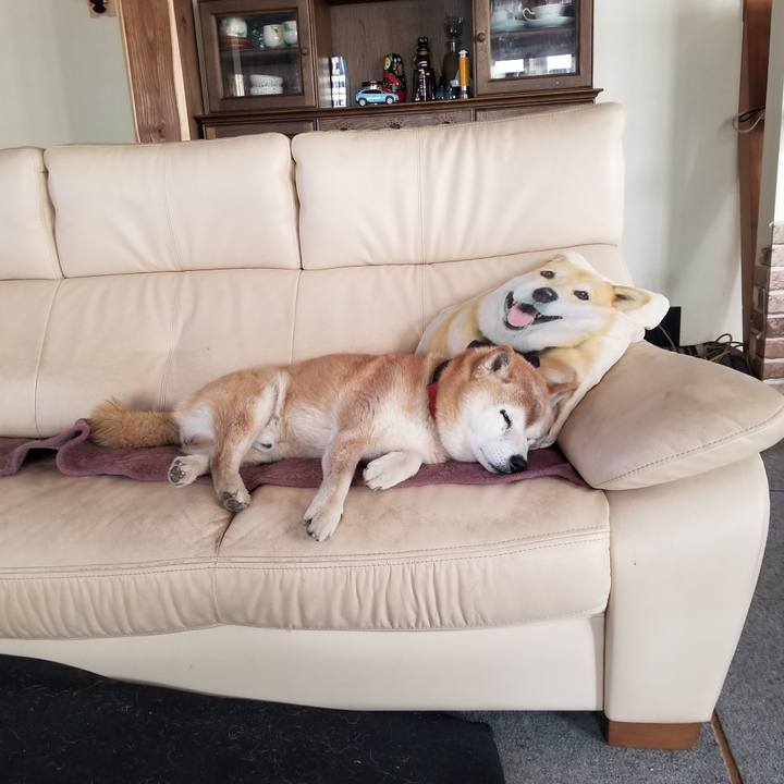 70bb7dca 58f9 4f24 8add 0daabf2cf695 1742960643251