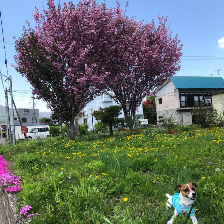 70bb9bb1 4709 402d 8795 5fe510d3fcba 1525508311158