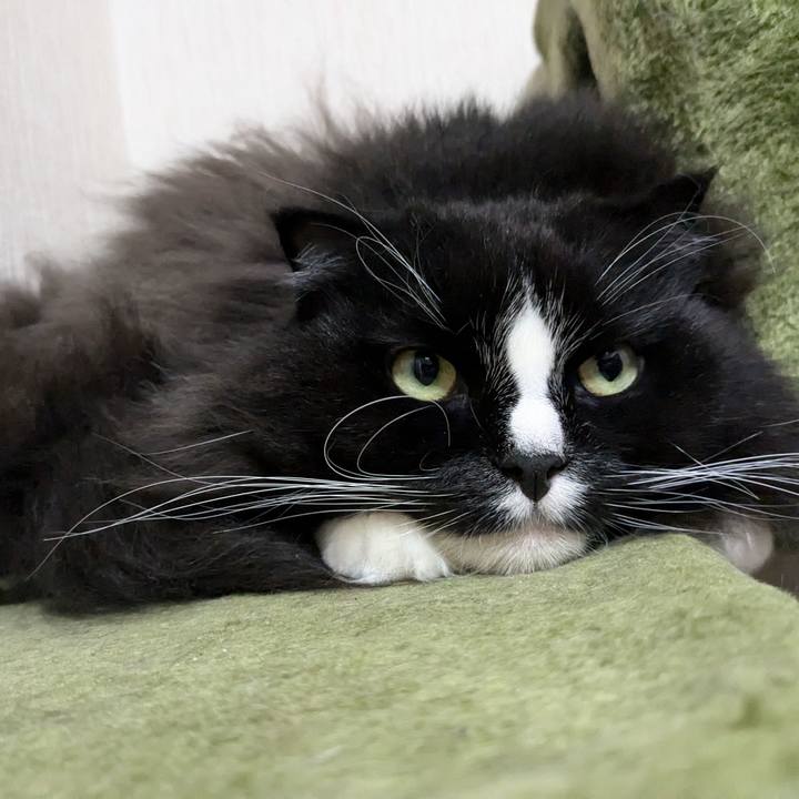 70bba7cb f5a7 4879 8fe6 77beea18d850 1732798016646