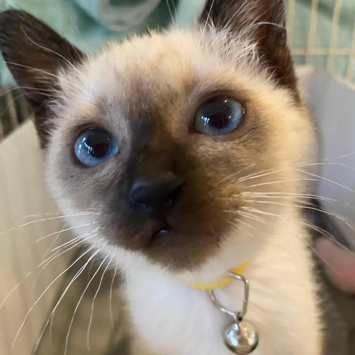 70bbaf78 e888 402a bd36 9e0327e9d99b 1686645528211