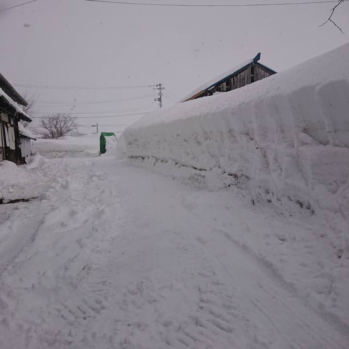 70bbd14b 3678 40d1 99db 2de61269be31 1644210949721