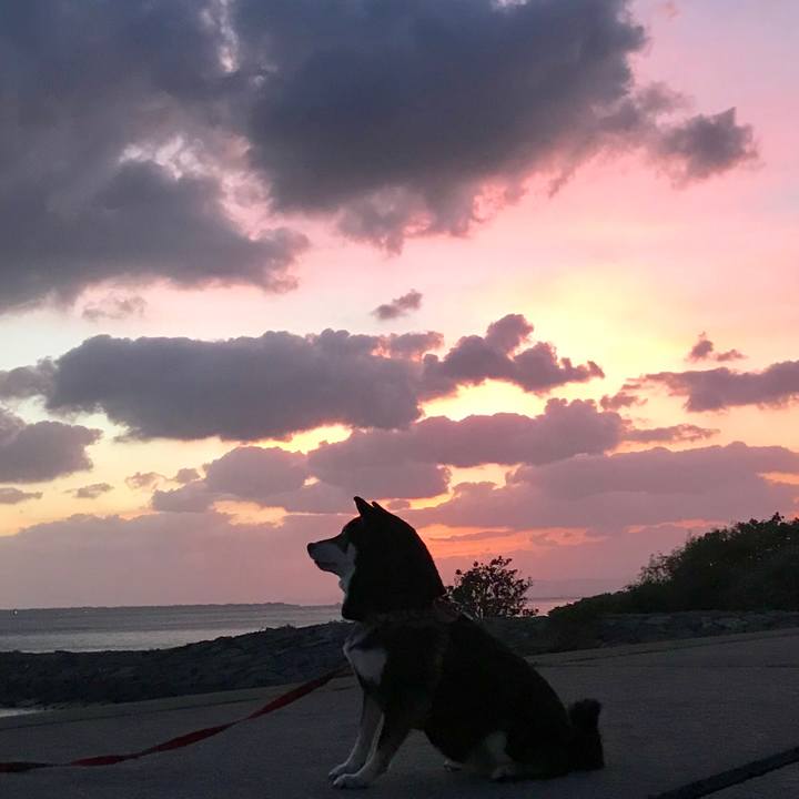 70bbd759 4042 44d7 8460 78187f84ebd2 1509275034637