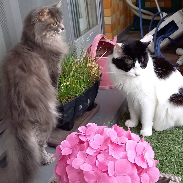 70bbeff8 405b 4c15 8c72 9340fd05e7c3 1623399493246