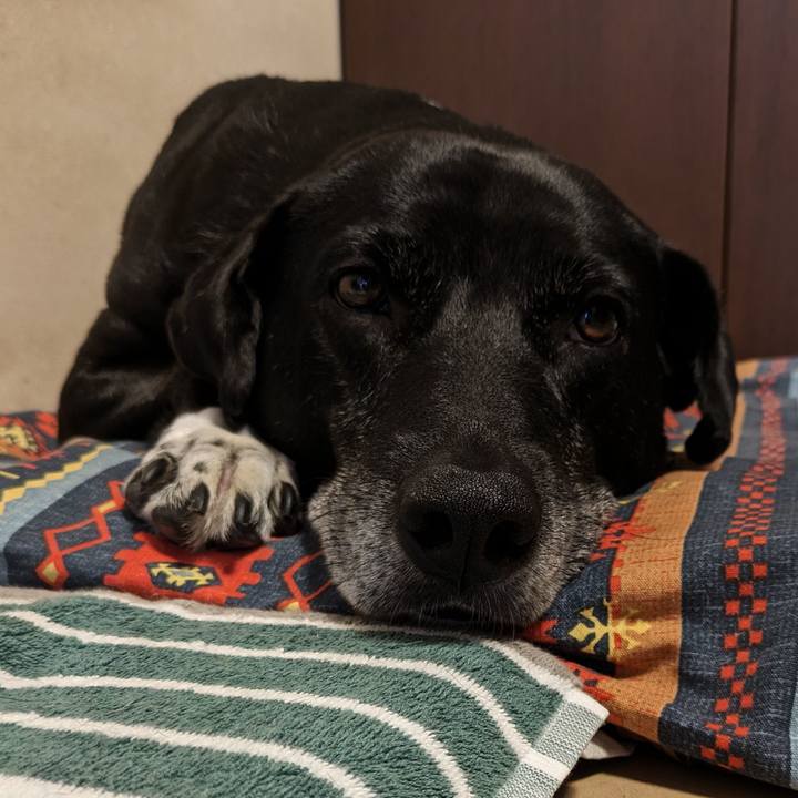 70bc2b92 d19e 44ff b7bd 80432e85a86e 1717289093184