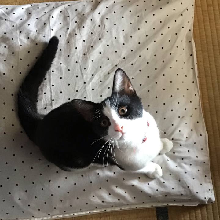 70bc352a 6dad 419c 86a0 3b60adf95703 1629970518628